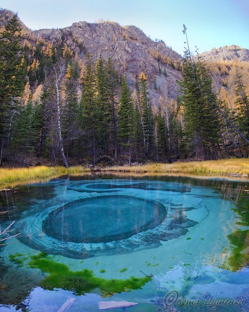 Incredibly beautiful pictures, after seeing that you will want to Altai