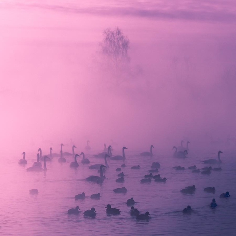 Incredibly beautiful pictures, after seeing that you will want to Altai