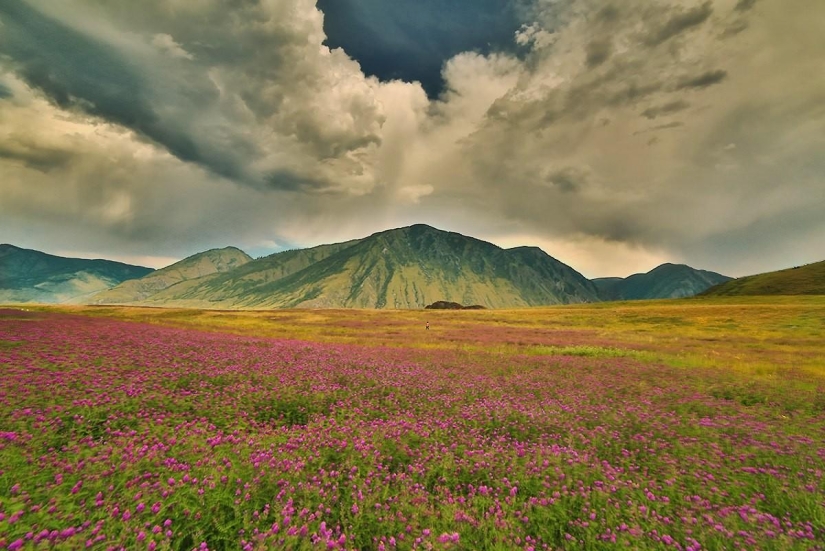 Incredibly beautiful pictures, after seeing that you will want to Altai