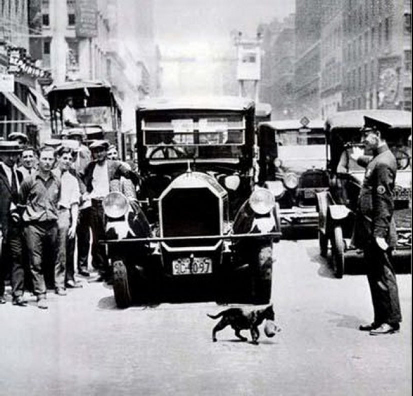 Incredibly rare historical footage that we will never forget
