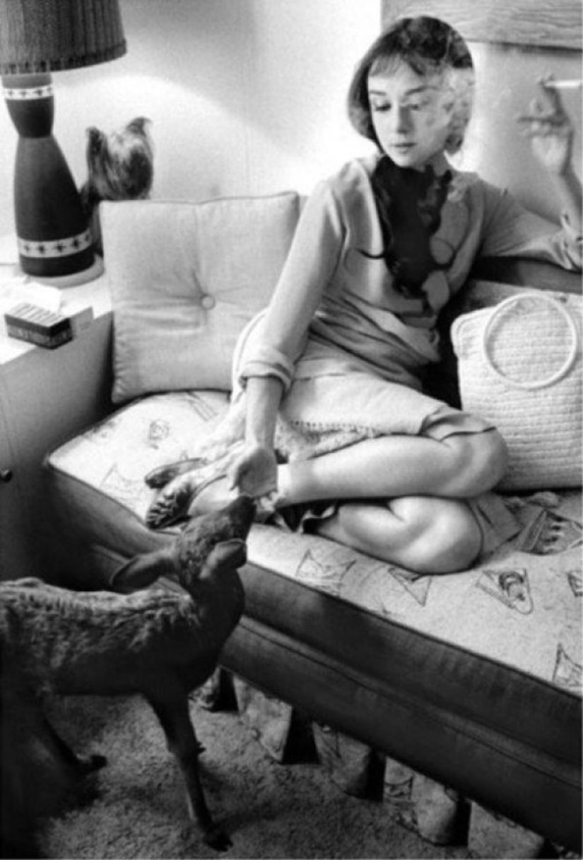 Inspiración: casero imágenes de Audrey Hepburn