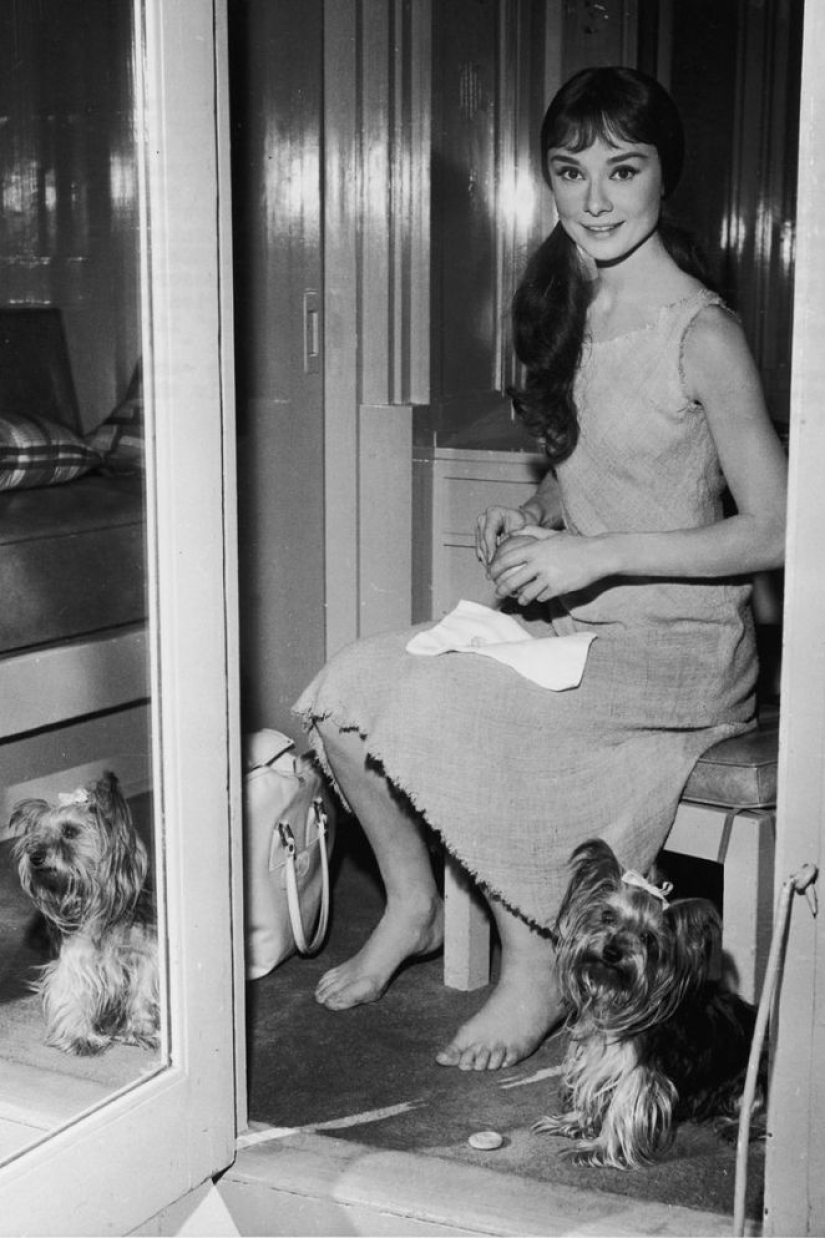 Inspiration: homemade images of Audrey Hepburn