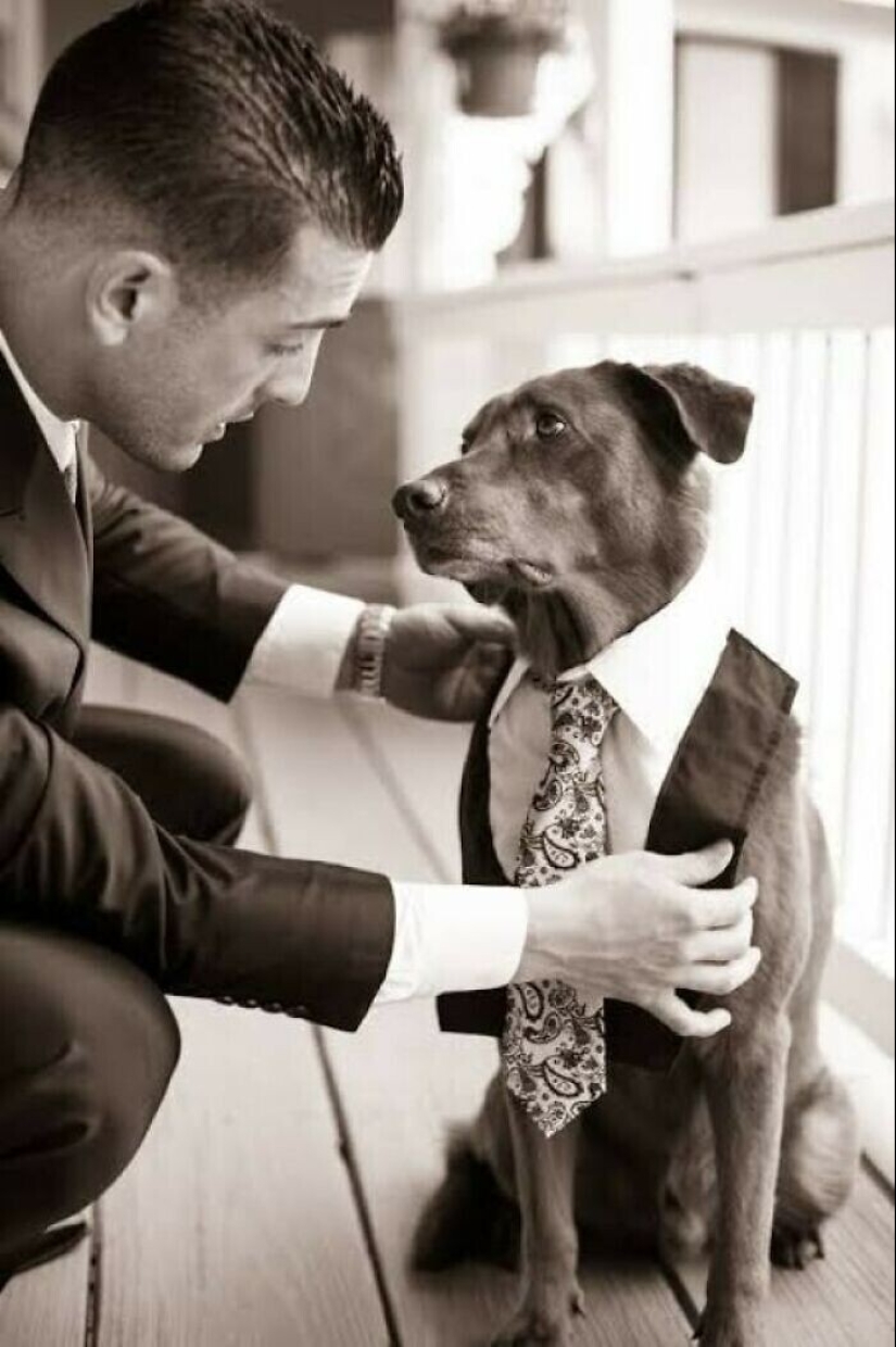 Instead of sight words: 20+ Pets who deeply love their owners