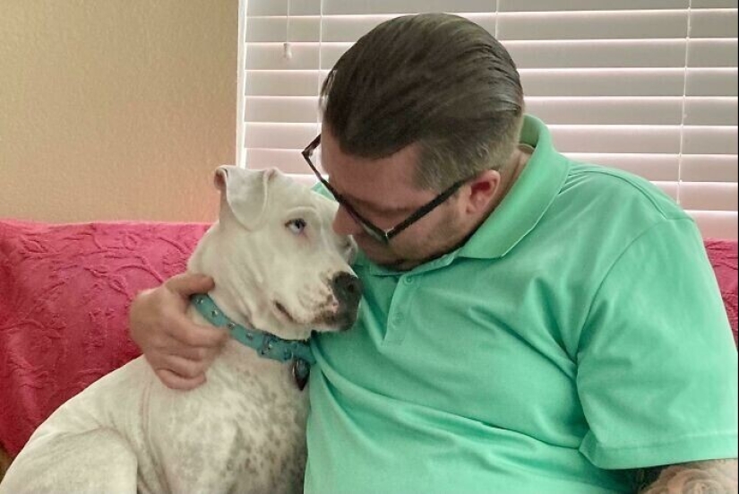 Instead of sight words: 20+ Pets who deeply love their owners