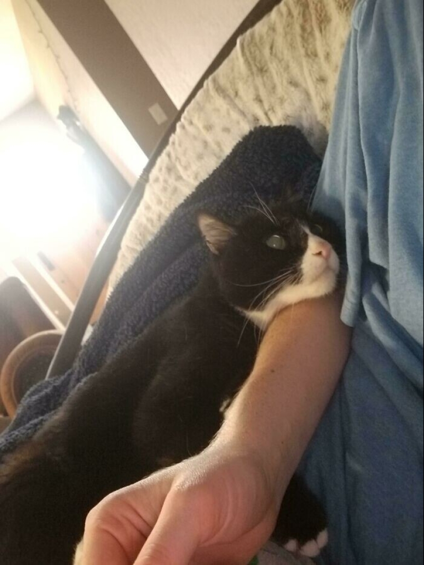 Instead of sight words: 20+ Pets who deeply love their owners