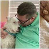 Instead of sight words: 20+ Pets who deeply love their owners Instead of sight words: 20+ Pets who deeply love their owners