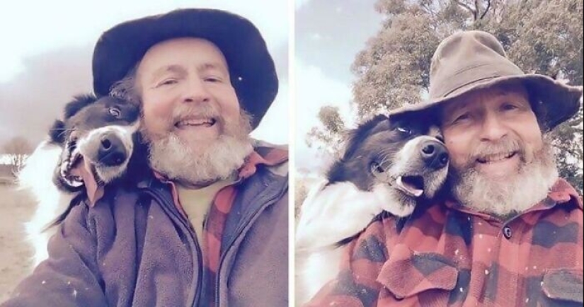 Instead of sight words: 20+ Pets who deeply love their owners