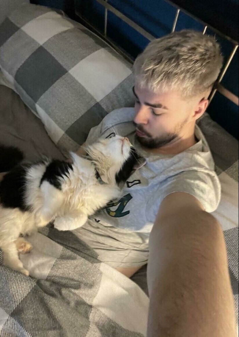 Instead of sight words: 20+ Pets who deeply love their owners