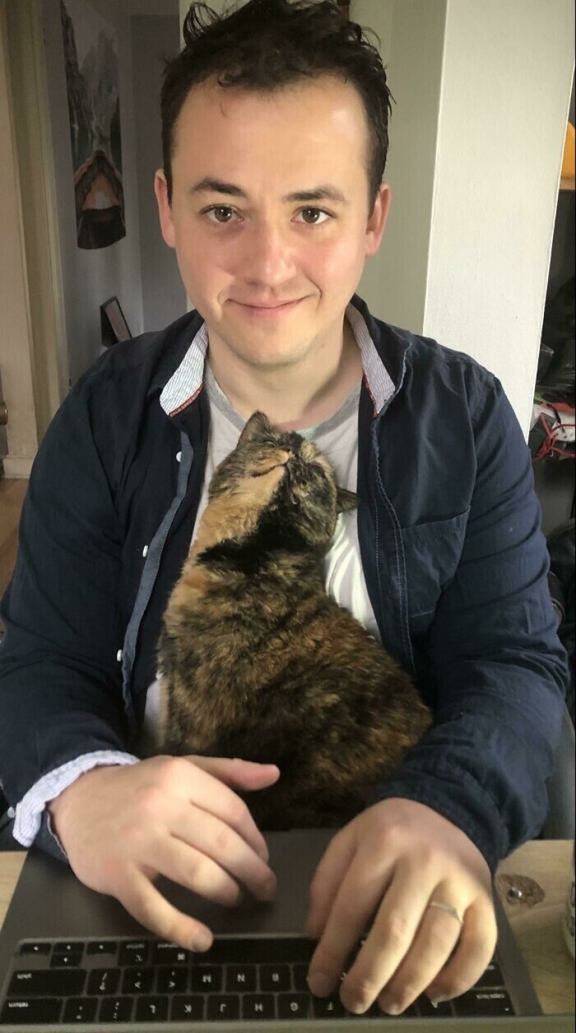 Instead of sight words: 20+ Pets who deeply love their owners