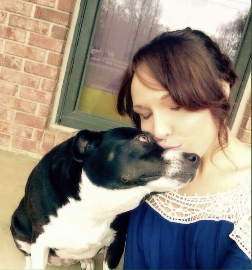 Instead of sight words: 20+ Pets who deeply love their owners