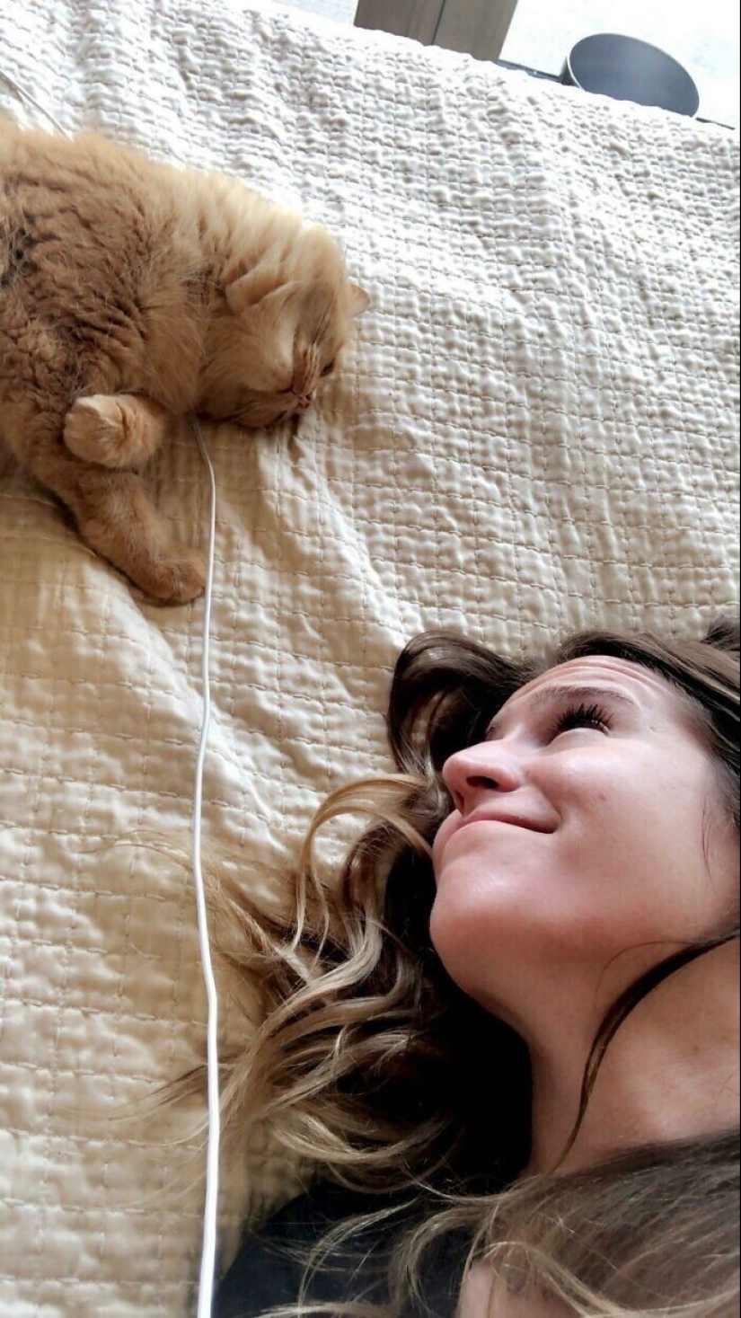 Instead of sight words: 20+ Pets who deeply love their owners