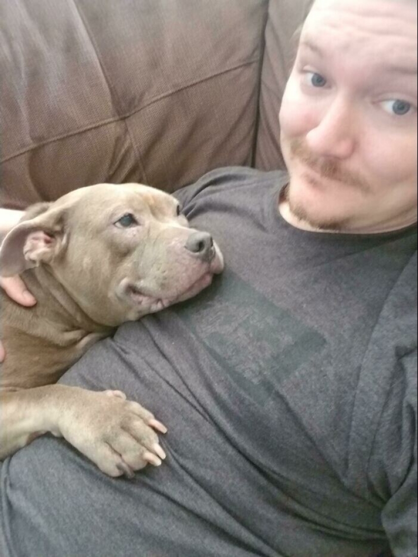 Instead of sight words: 20+ Pets who deeply love their owners