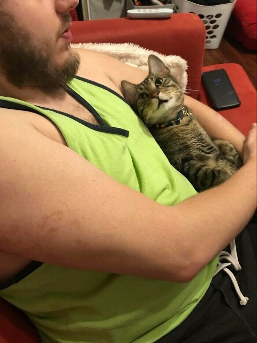 Instead of sight words: 20+ Pets who deeply love their owners