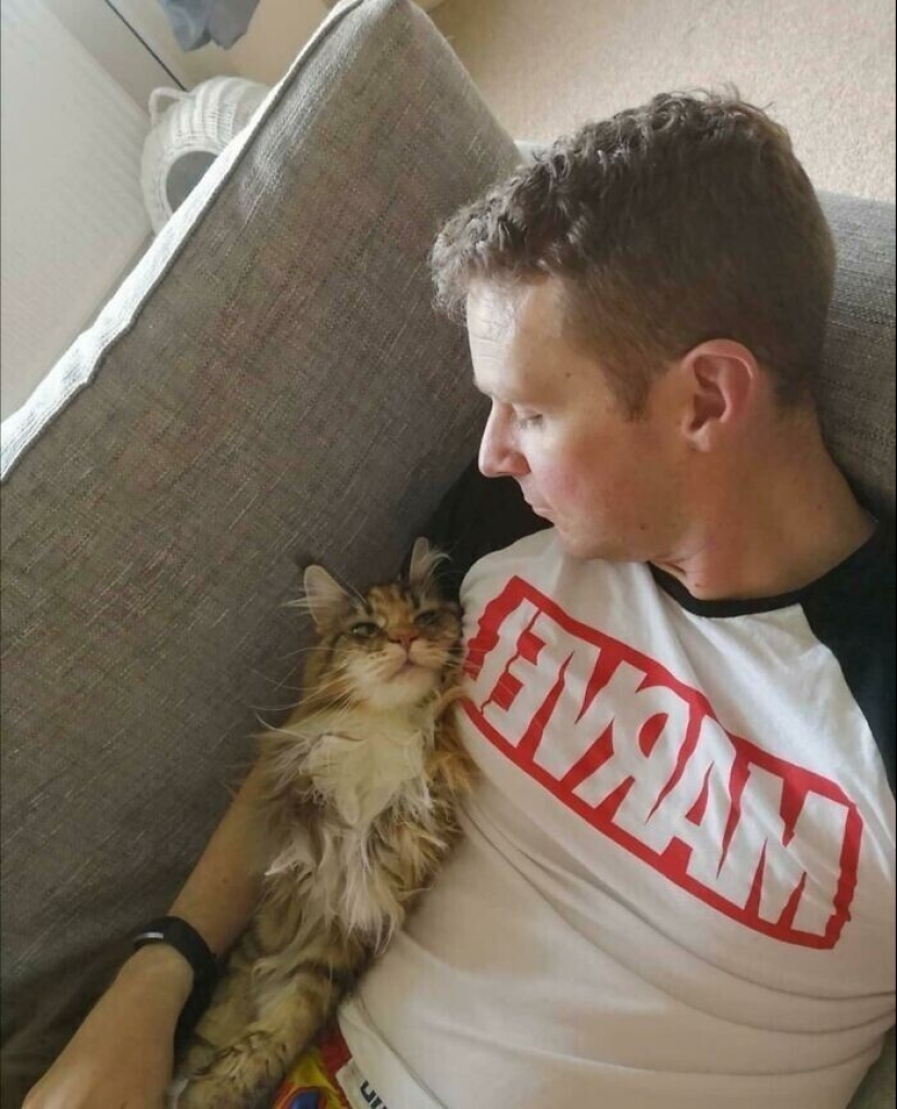 Instead of sight words: 20+ Pets who deeply love their owners