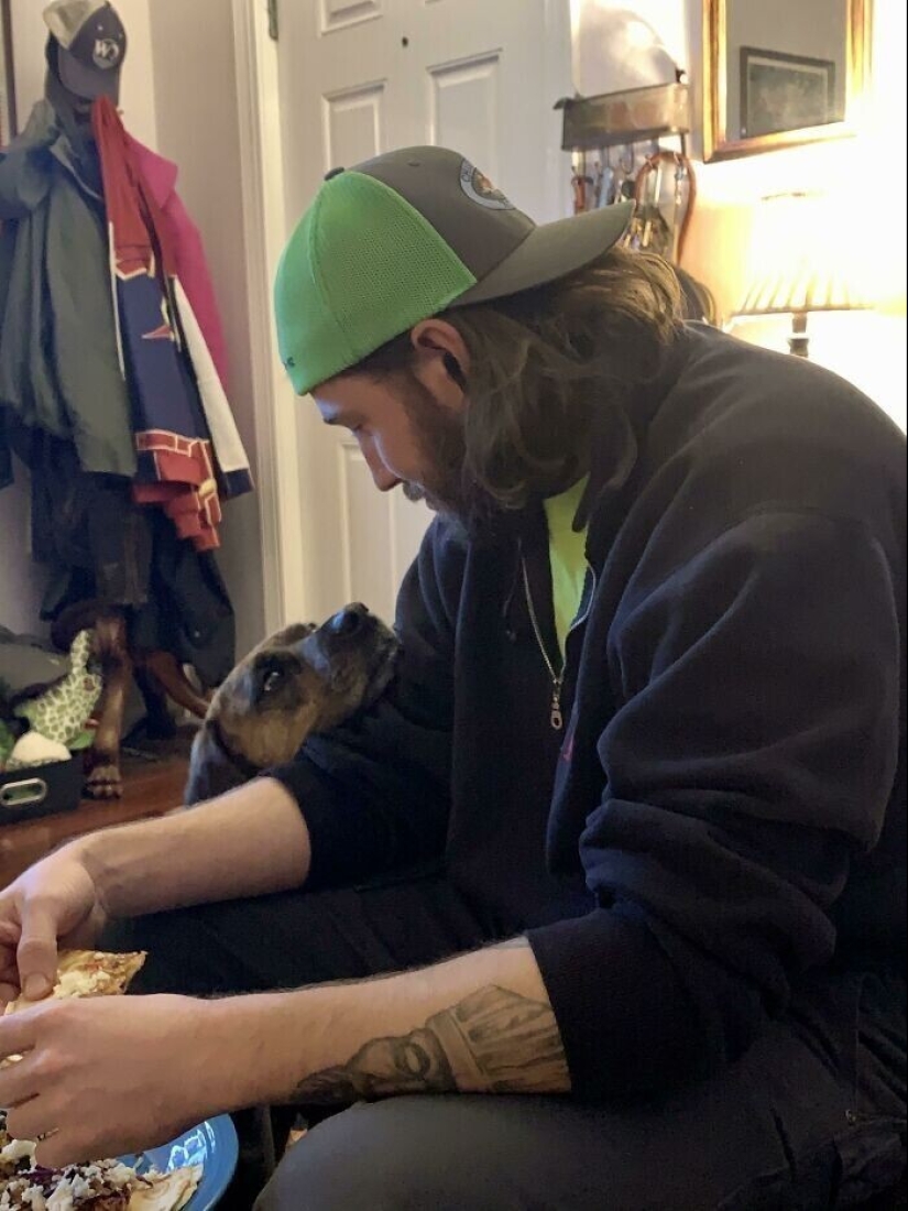 Instead of sight words: 20+ Pets who deeply love their owners