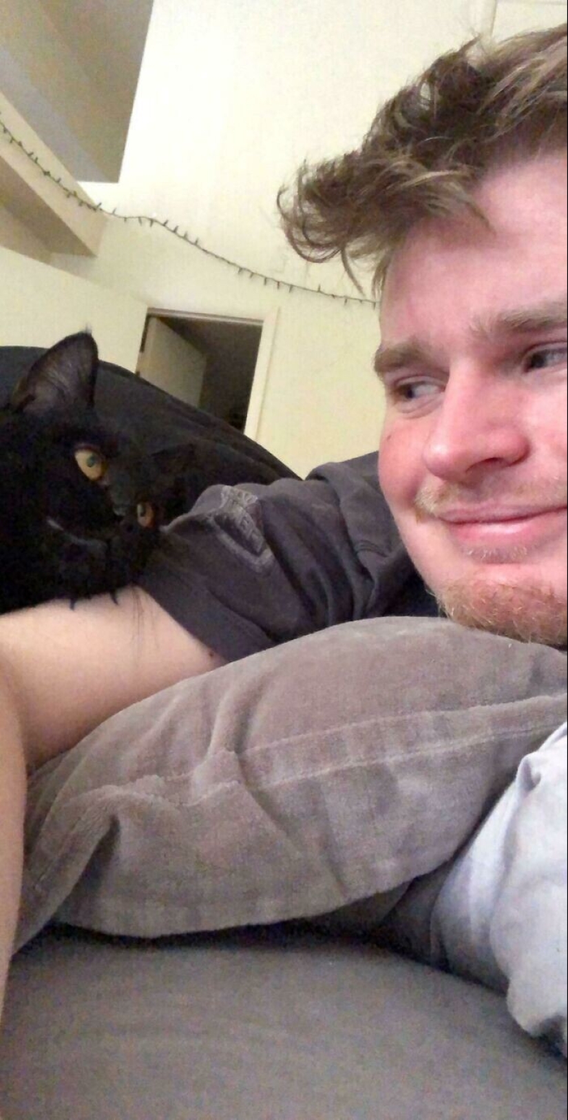 Instead of sight words: 20+ Pets who deeply love their owners