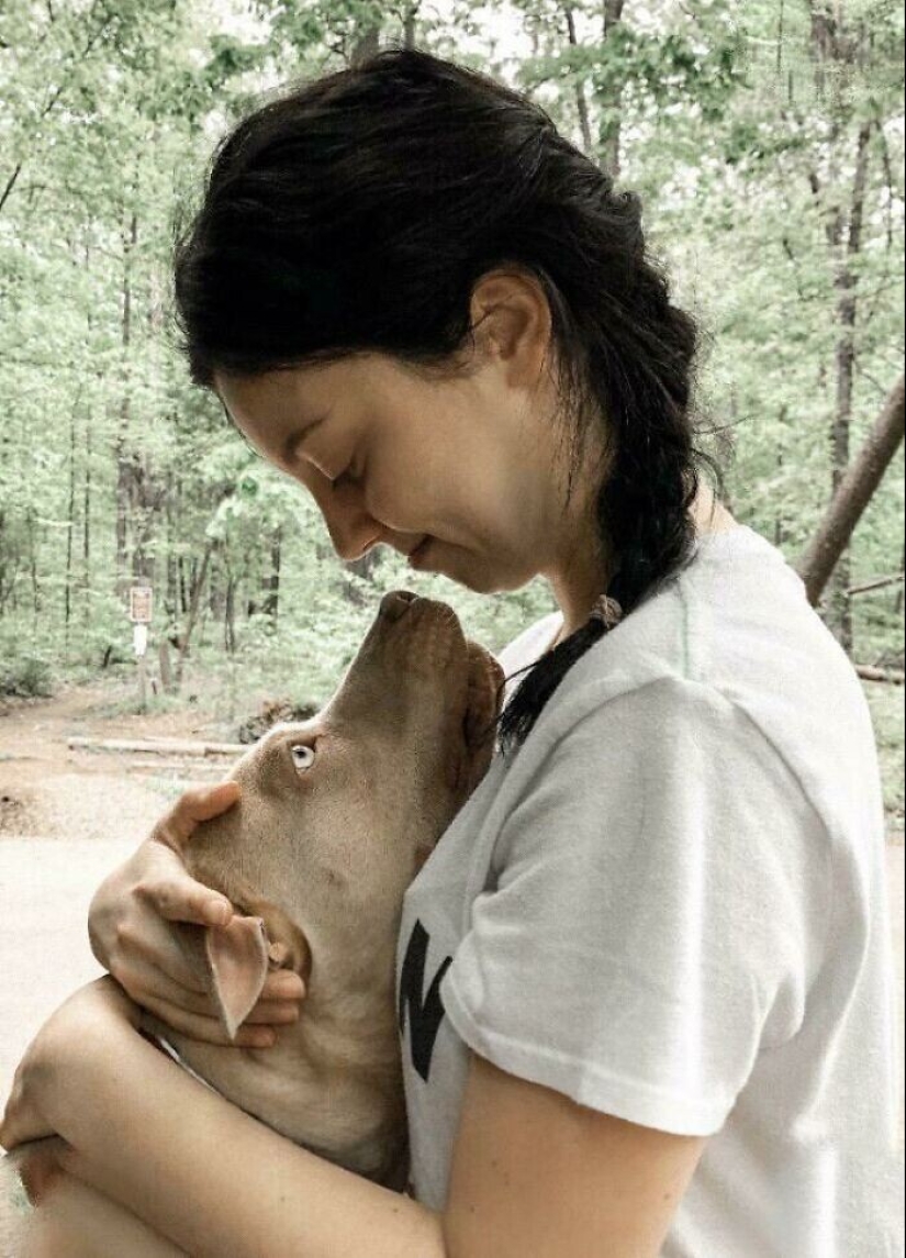 Instead of sight words: 20+ Pets who deeply love their owners