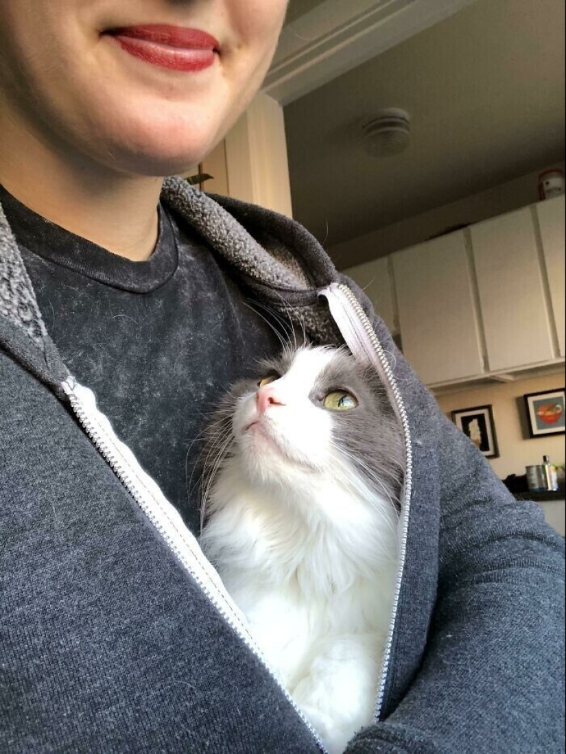 Instead of sight words: 20+ Pets who deeply love their owners