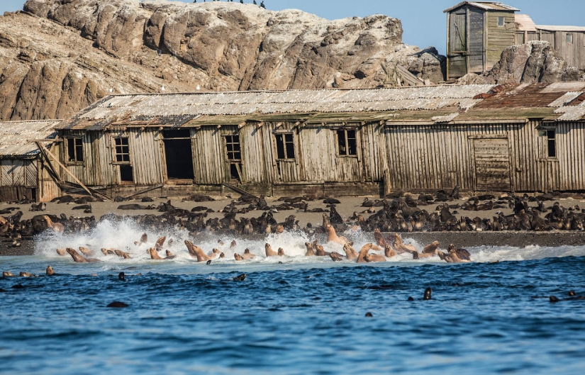 Inusual abandonó Rusia en las fotografías