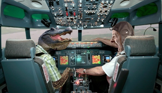 Involuntary terrorist: how a crocodile became the culprit of a passenger plane crash Involuntary terrorist: how a crocodile became the culprit of a passenger plane crash