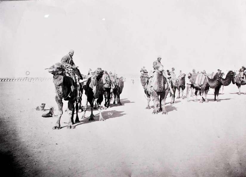 Irán de 1901 en la lente de Anton Sevryugin Irán de 1901 en la lente de Anton Sevryugin