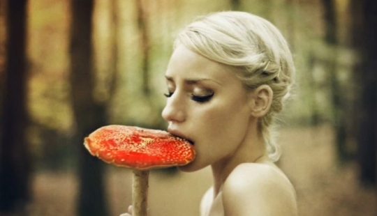 Is it possible to die if you eat fly agaric