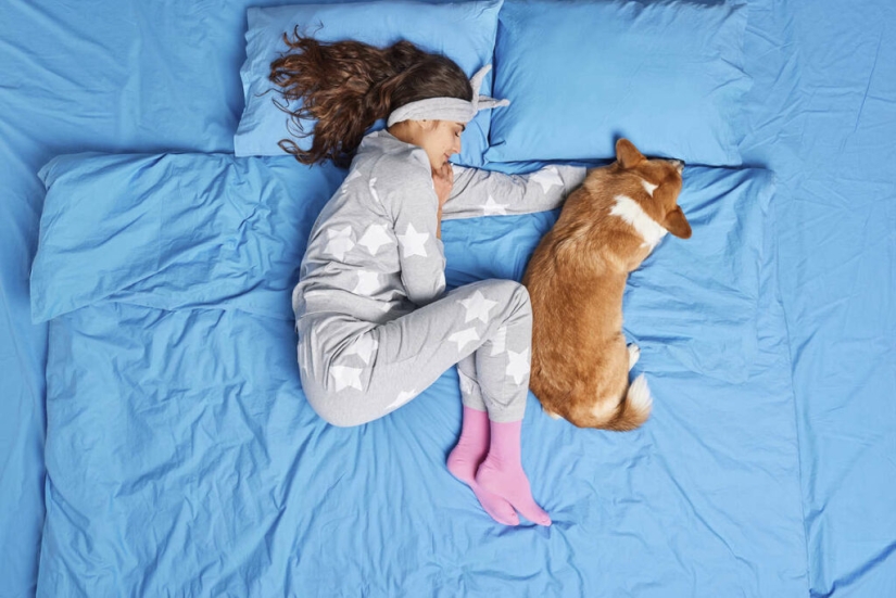 Is it possible to sleep in the same bed with a dog or cat?
