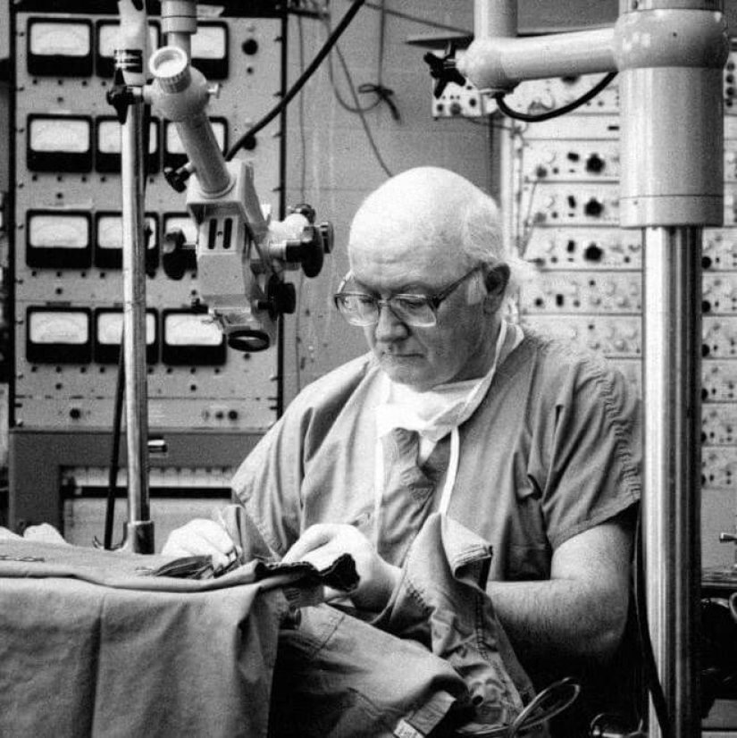 Is it possible to transplant a human head