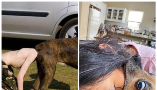 It just seemed: 22 photos that you will have to look at several times
