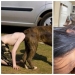 It just seemed: 22 photos that you will have to look at several times It just seemed: 22 photos that you will have to look at several times