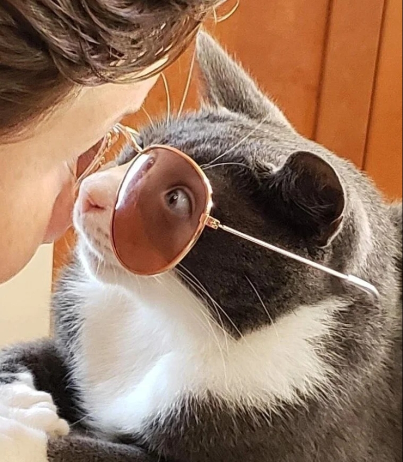 It turned out, it seemed: 22 photos that are misleading It turned out, it seemed: 22 photos that are misleading