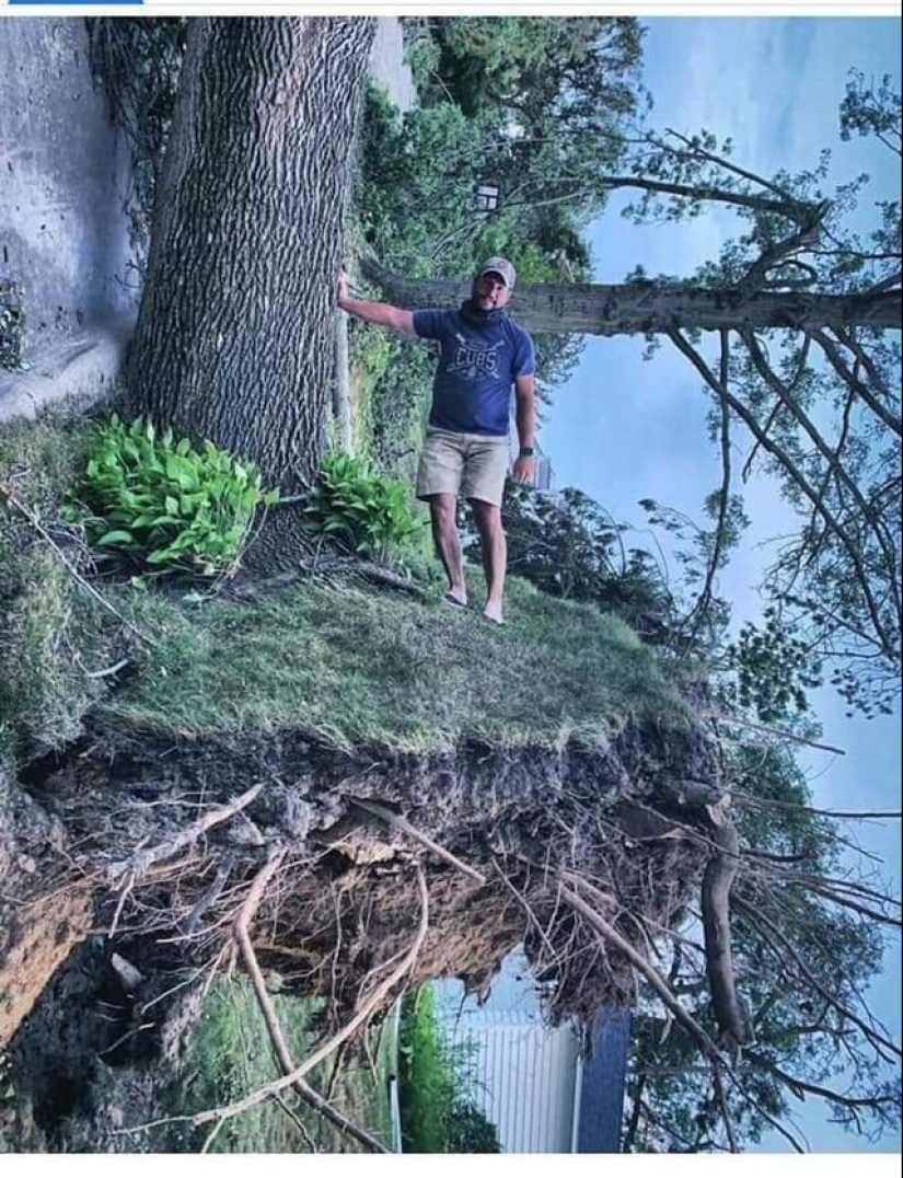 It turned out, it seemed: 22 photos that are misleading It turned out, it seemed: 22 photos that are misleading