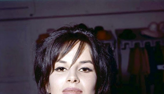 Italian with a warm heart and a luxurious appearance-30 vintage pictures of Antonella Lualdi