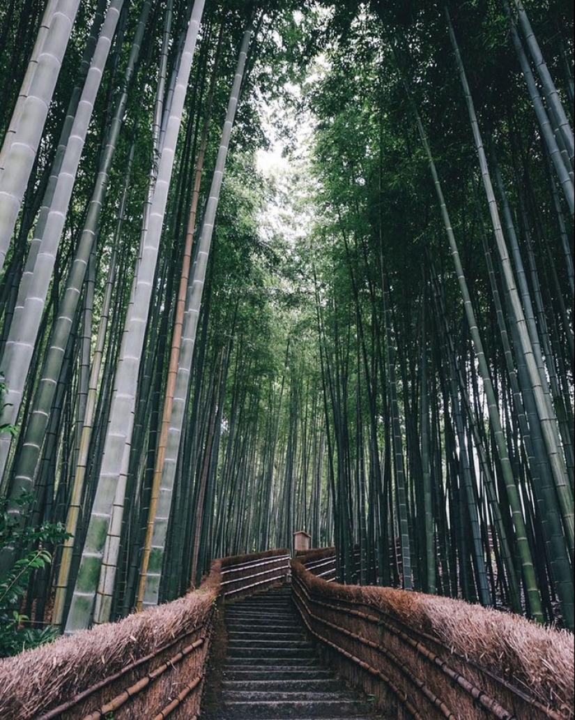 Japanese flavor in Takashi Yasui's street photos Japanese flavor in Takashi Yasui's street photos