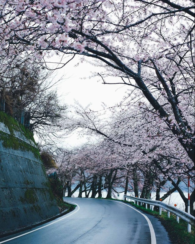 Japanese flavor in Takashi Yasui's street photos