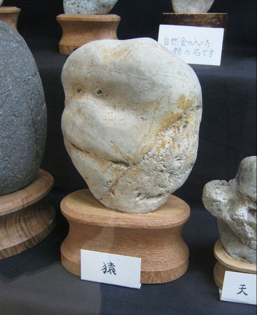 Japan's Tinsekikan Museum collects face-like stones