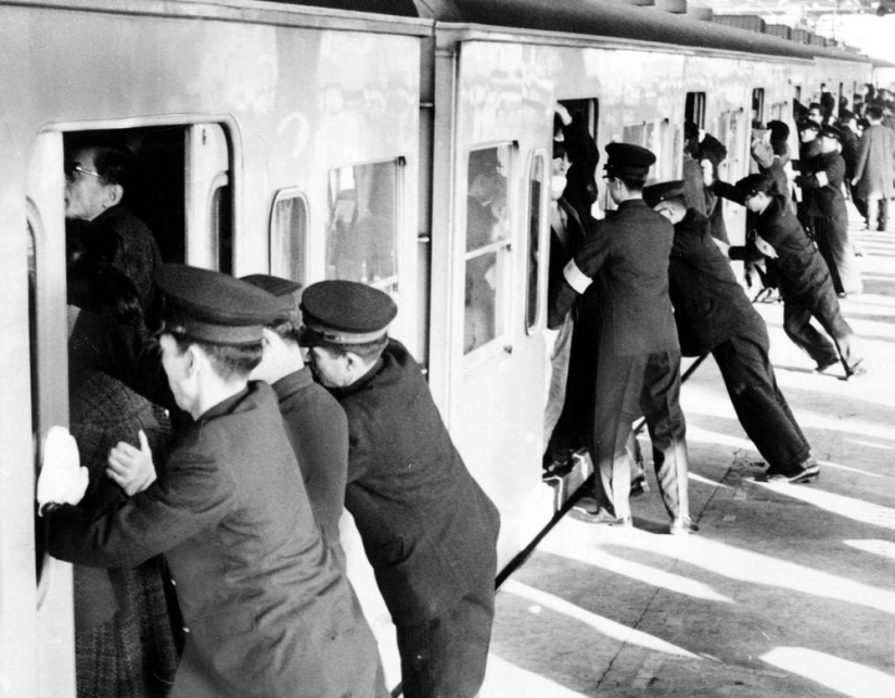 Japón 50 años