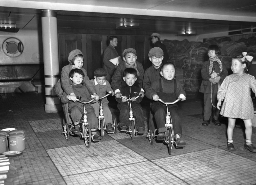 Japón 50 años