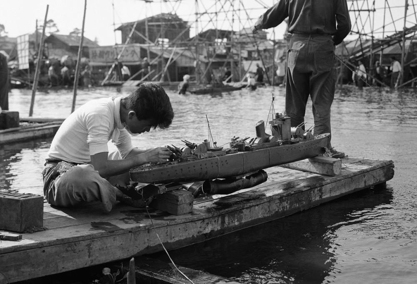 Japón 50 años