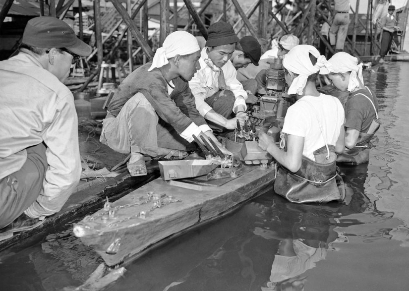 Japón 50 años
