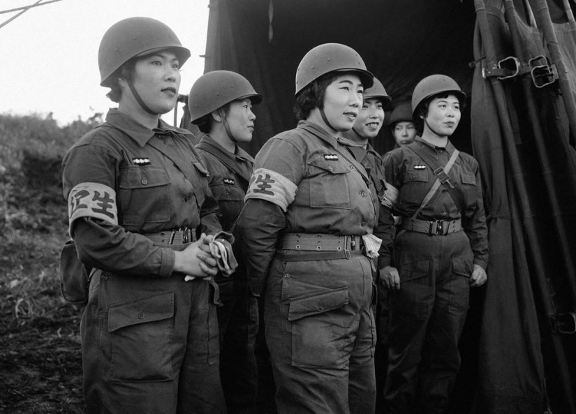 Japón 50 años