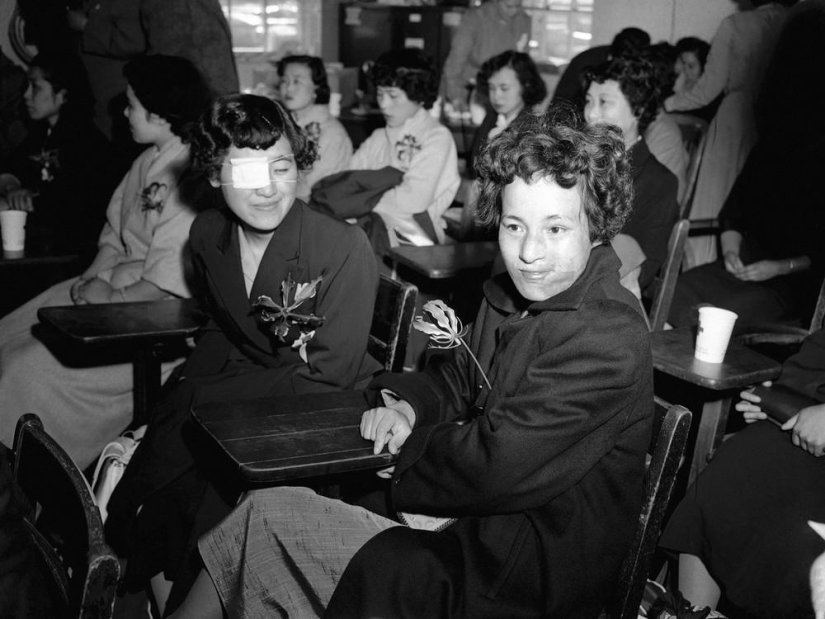 Japón 50 años