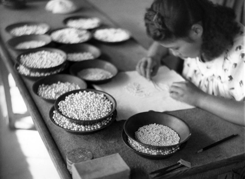 Japón 50 años