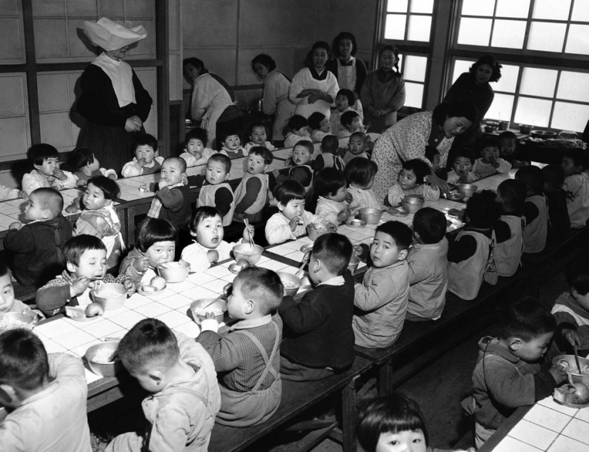 Japón 50 años