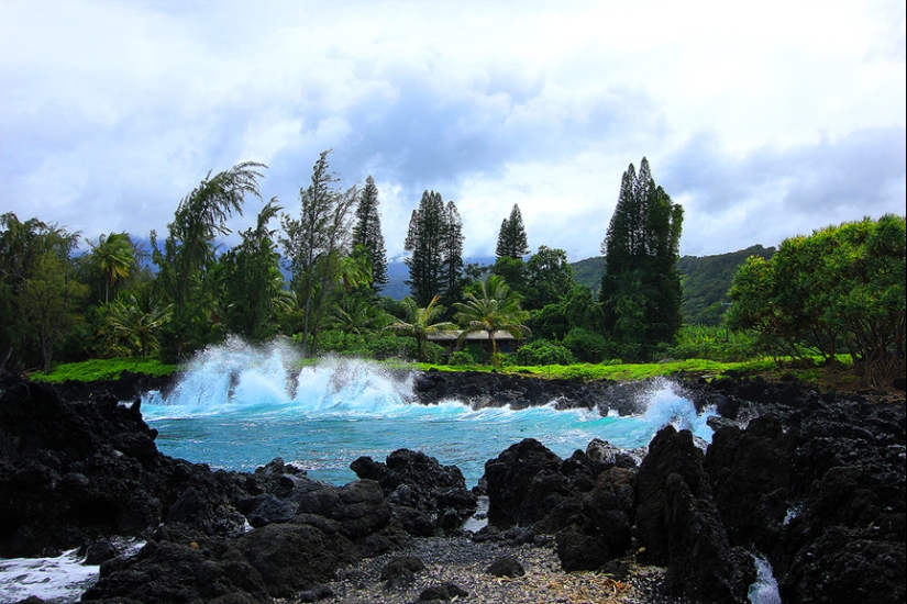 Jardines de Maui Jardines de Maui