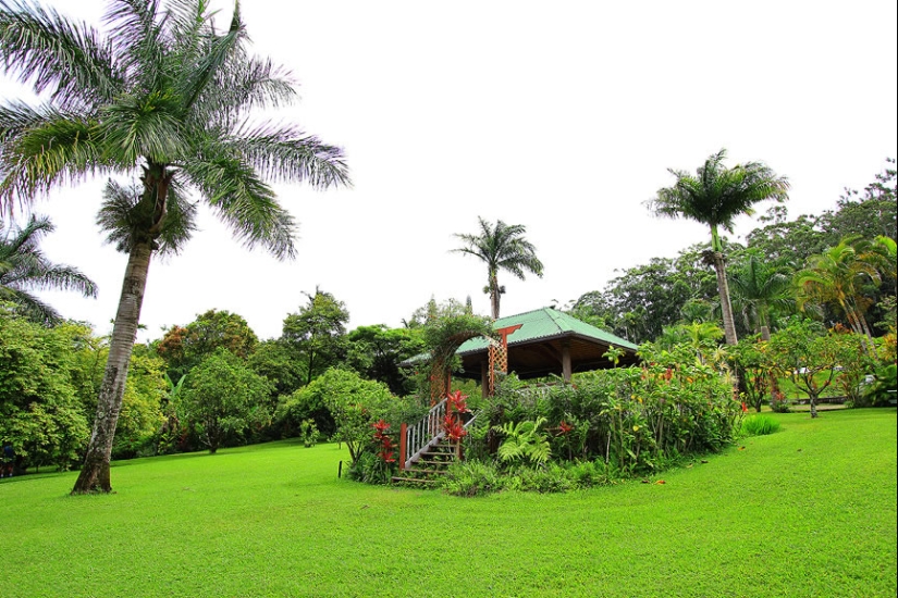 Jardines de Maui Jardines de Maui