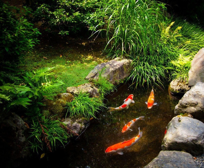 Jardines del Castillo de Nijo