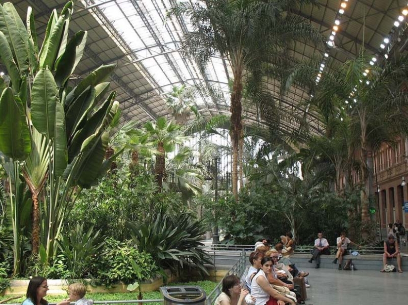Jardín Botánico en la Estación de Tren de Atocha en Madrid