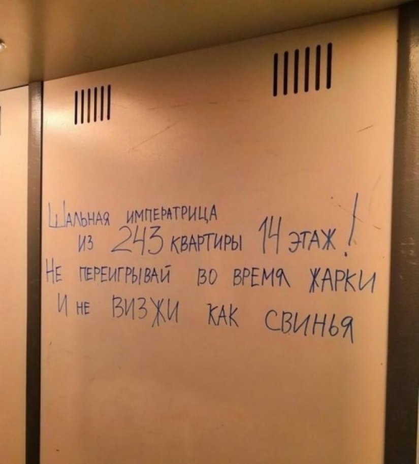 Jokes in Russian: 20 photos that will make you cry with laughter Jokes in Russian: 20 photos that will make you cry with laughter