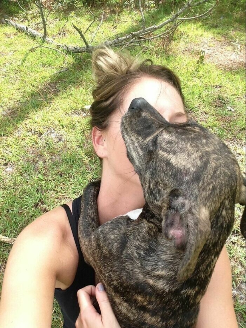 Keep the faith: 20+ touching cases when returned missing dog